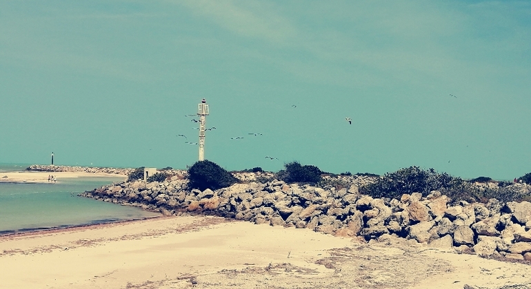kayak-through-mangroves-to-secret-beach--en-1