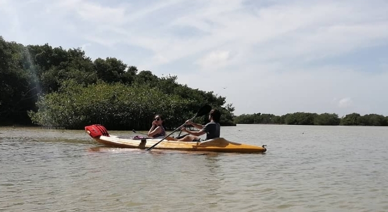 kayak-through-mangroves-to-secret-beach--en-4