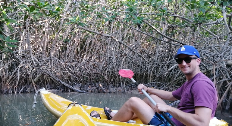 kayak-through-mangroves-to-secret-beach--en-5