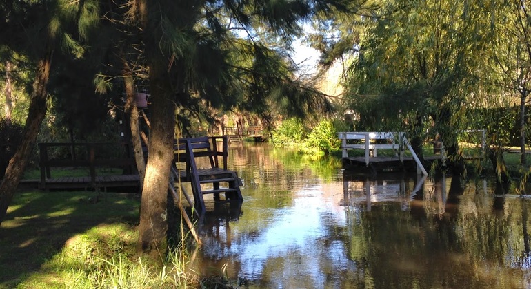 Tour por San Isidro y Tigre en grupos pequeños