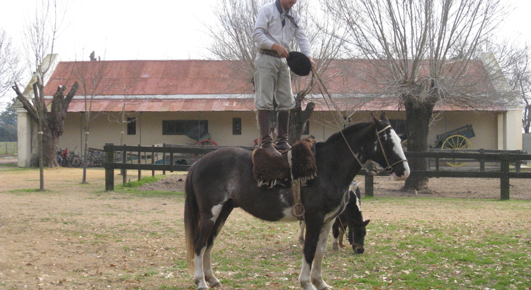 Viaggio a San Antonio de Areco in piccolo gruppo, Argentina