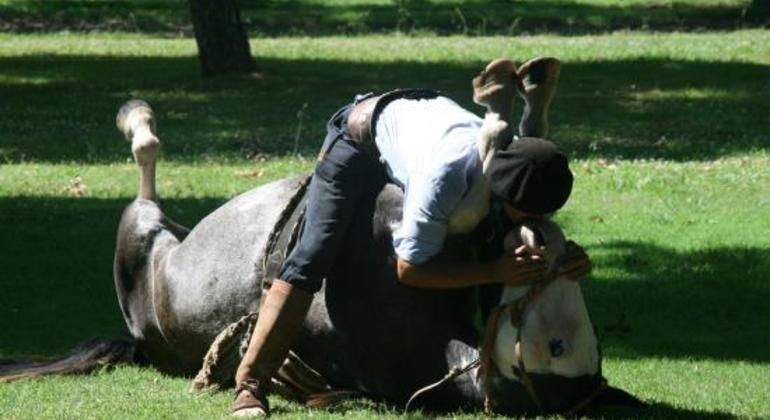 Viaje a San Antonio de Areco en Grupo Reducido Argentina — #4