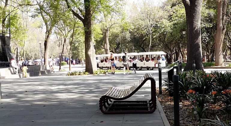 Visita privada ao Castelo de Chapultepec na Cidade do México México — #4