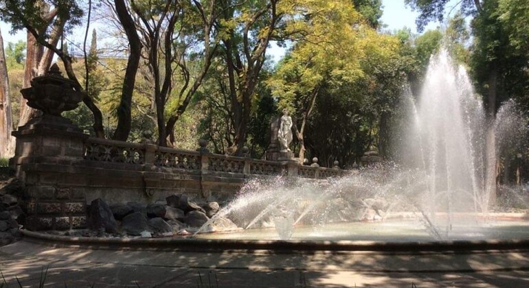 Visita privada ao Castelo de Chapultepec na Cidade do México México — #5