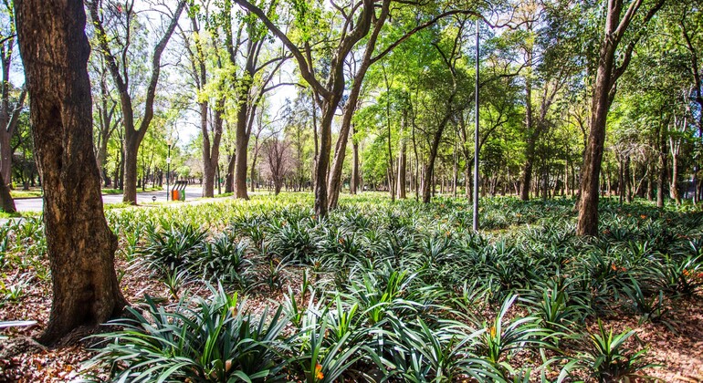 Visita privada ao Castelo de Chapultepec na Cidade do México México — #9