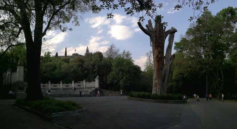 Visita privada ao Castelo de Chapultepec na Cidade do México México — #12