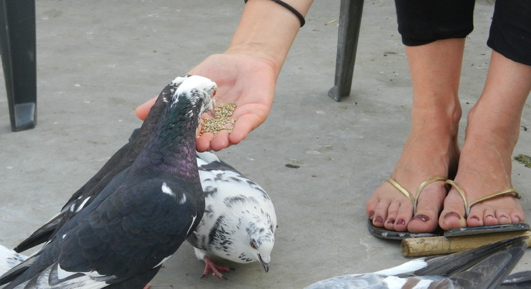 Antiga Deli Património Alimentar e Cultural com visita a Masterji Kee Haveli Índia — #14