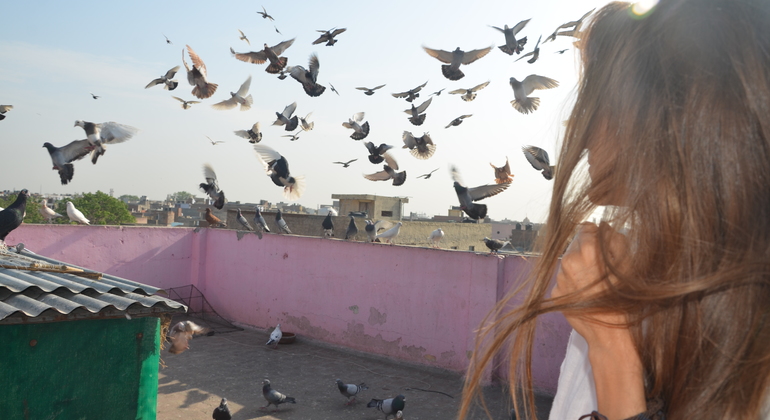 Antiga Deli Património Alimentar e Cultural com visita a Masterji Kee Haveli Índia — #30