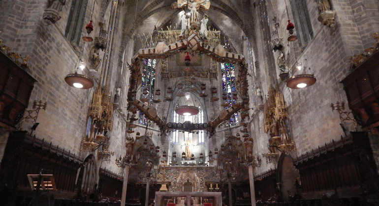 guided-tour-cathedral-of-mallorca-en-5