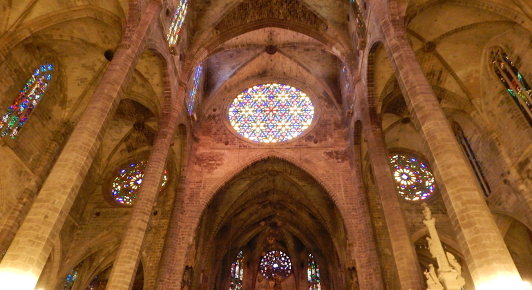 guided-tour-cathedral-of-mallorca-en-6