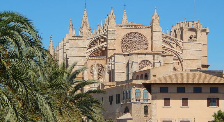 guided-tour-cathedral-of-mallorca-en-7