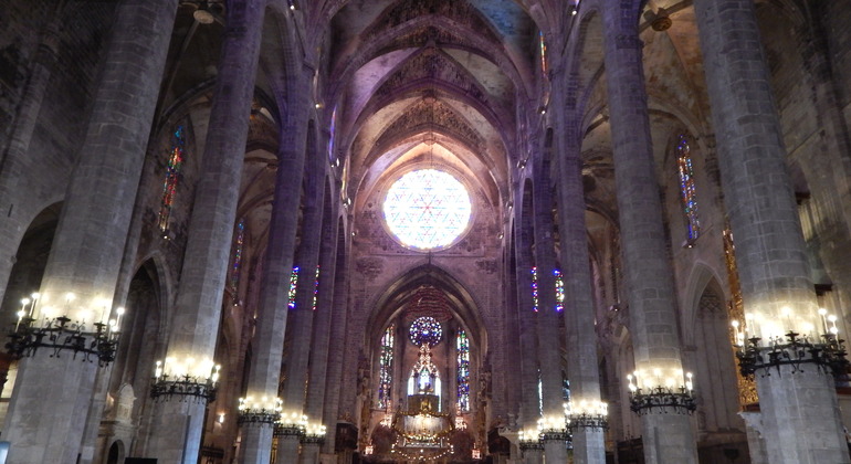 guided-tour-cathedral-of-mallorca-en-9