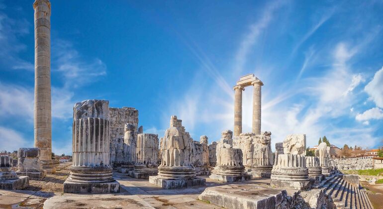 Priene, Miletus and Didyma: Tour from Kusadasi or Selcuk Provided by Turkey Tours Company
