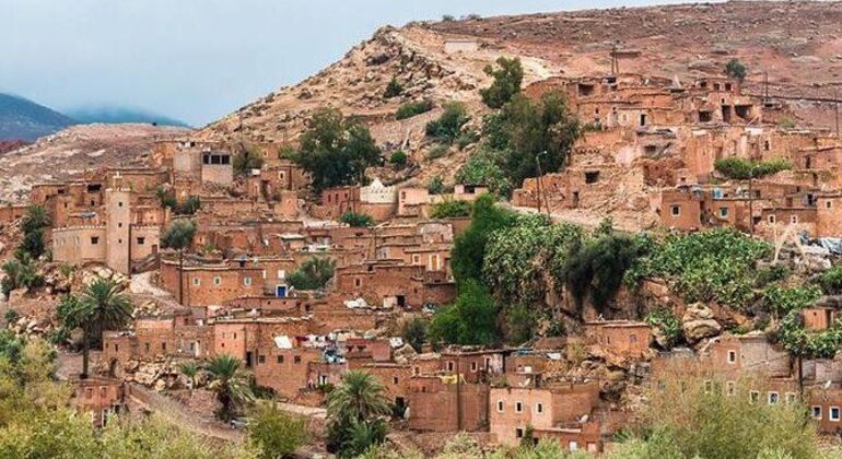 Excursión de 1 Día las Montañas del Atlas y los Valles de los Arboles Marruecos — #1