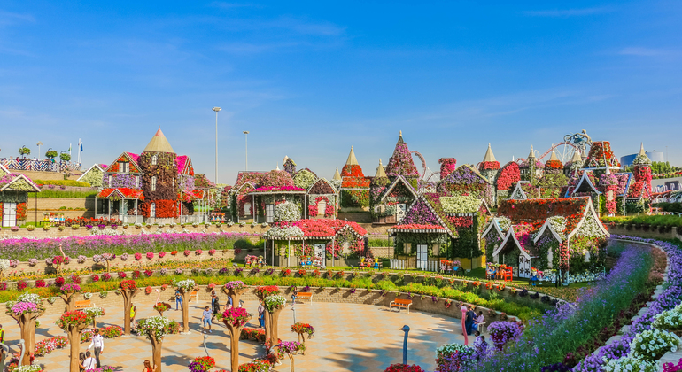 Visite du Jardin des Miracles avec transfert Émirats arabes unis — #4