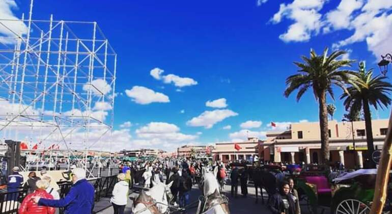 best-of-marrakech-es-19