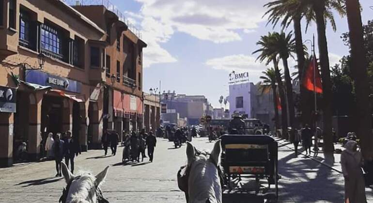 best-of-marrakech-es-20