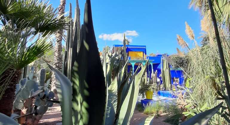best-of-marrakech-es-35