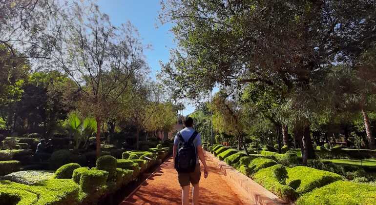 best-of-marrakech-es-36