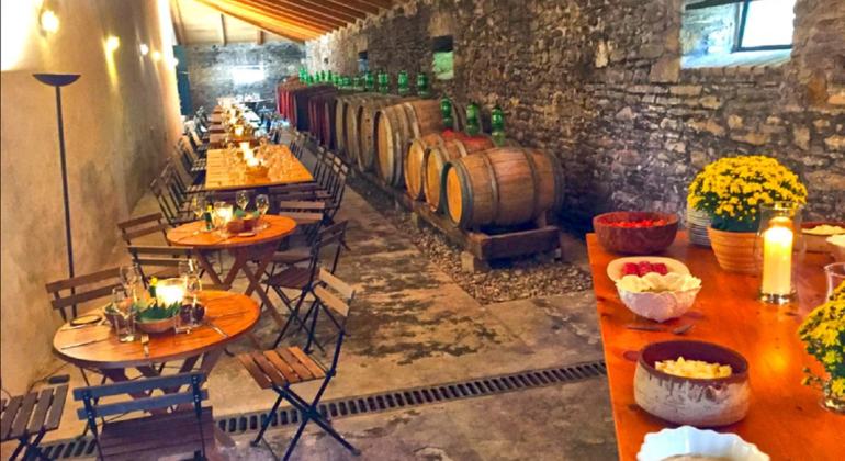 Winery Tour with Wine Tasting at Theotoky Estate in Corfu