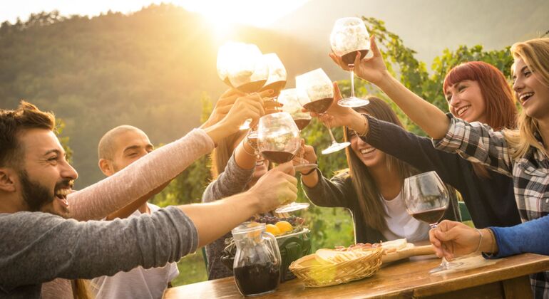 Private Tour zu den Weinbergen von Goriška Brda ab Ljubljana Bereitgestellt von Ursa Svegel