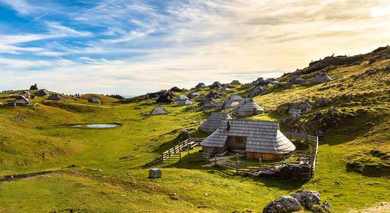 Excursão privada a Kamnik e ao planalto de Velika Planina a partir de Liubliana