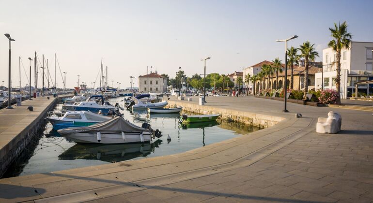 Tour privato della costa slovena da Lubiana Fornito da Ursa Svegel