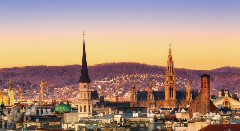 Private Tour: Discover Vienna from Ljubljana