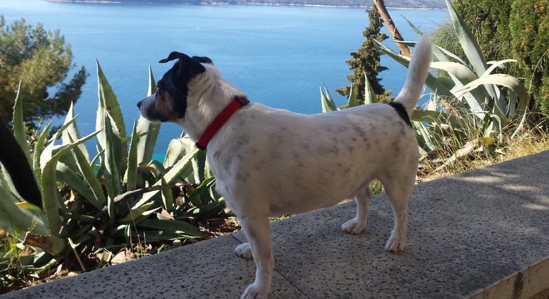 Geheime Marjan Wandertour Kroatien &mdash; #2