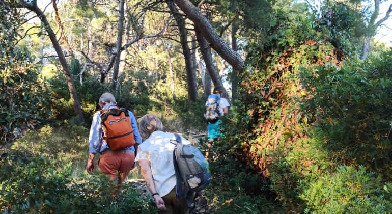 Secret Marjan Hiking Tour