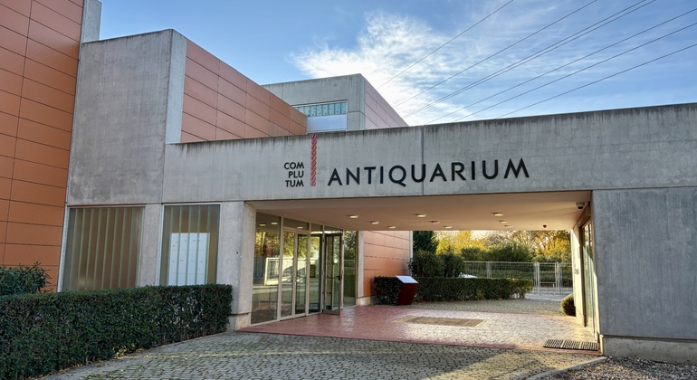 Guided Tour of the Roman City of Complutum & the Antiquarium Museum Provided by CompluTour