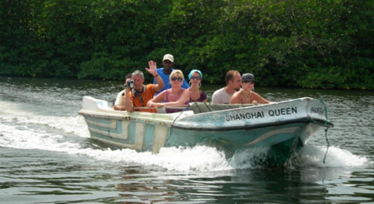 Excursão privada de um dia ao rio Madu, Sri Lanka