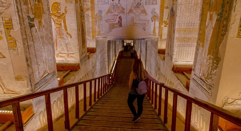 Excursión de medio día al Valle del Rey, Templo de Hatshepsut, Colosos de Memnon