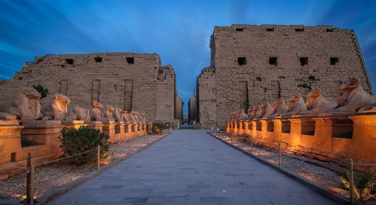 Excursion d'une demi-journée aux temples de Karnak et de Louxor Fournie par Egypt Best Vacations