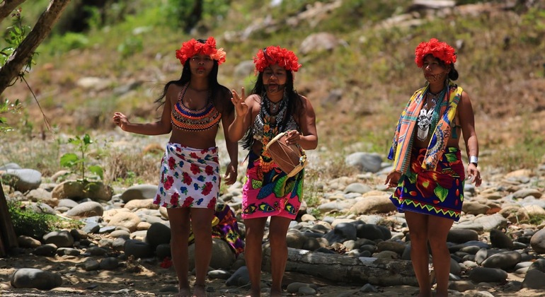 Excursion d'une journée : Aventures Embera Drua Fournie par Antonio Davila R