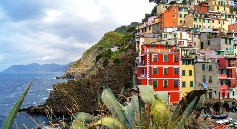 cinque terre pisa tour from florence
