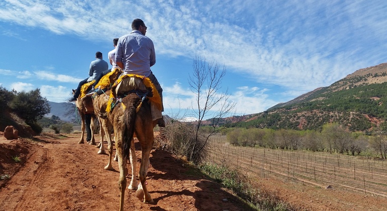 Paseo en camello por las estribaciones del Atlas Operado por Hassan