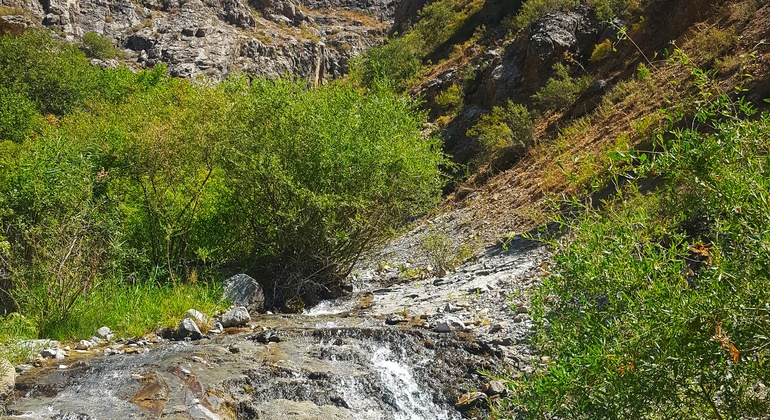 Unexplored Tashkent Tour: Paltau & Chukuraksu Uzbekistan — #6