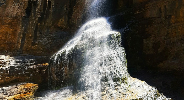 Unexplored Tashkent Tour: Paltau & Chukuraksu Uzbekistan — #9