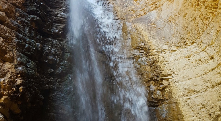 Unexplored Tashkent Tour: Paltau & Chukuraksu Uzbekistan — #13