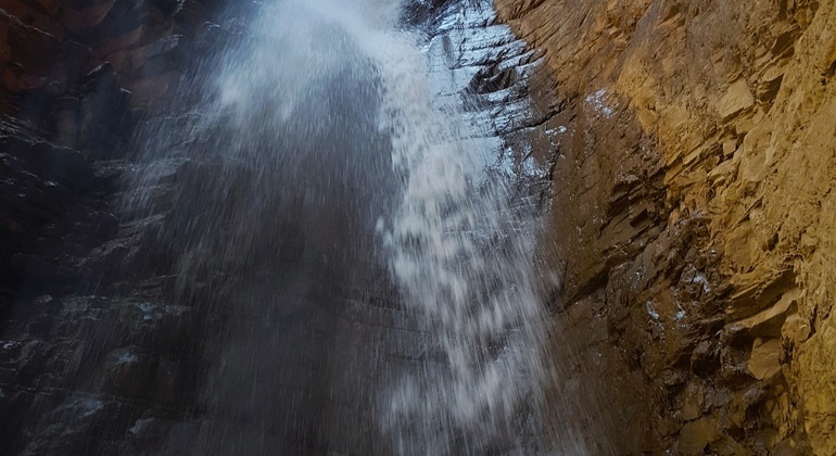 Unexplored Tashkent Tour: Paltau & Chukuraksu Uzbekistan — #14