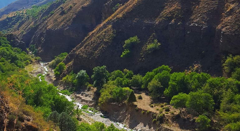 Unexplored Tashkent Tour: Paltau & Chukuraksu Uzbekistan — #15