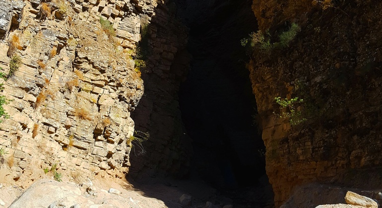 Unexplored Tashkent Tour: Paltau & Chukuraksu Uzbekistan — #11