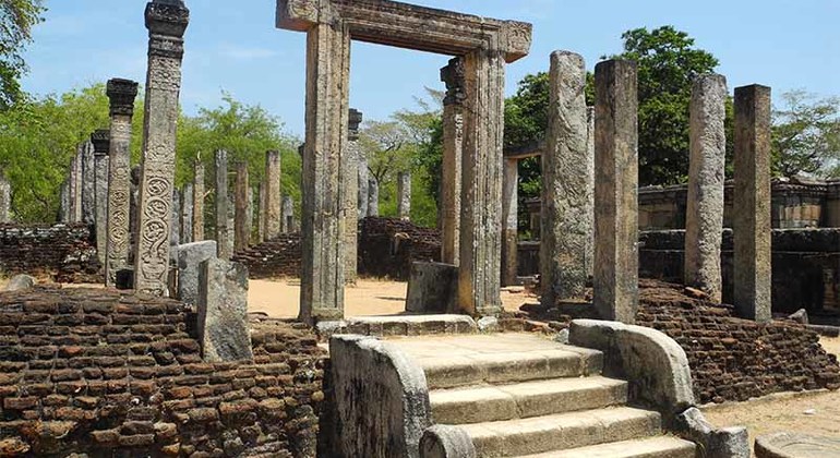 Safari y Polonnaruwa Tour Privado de un Día