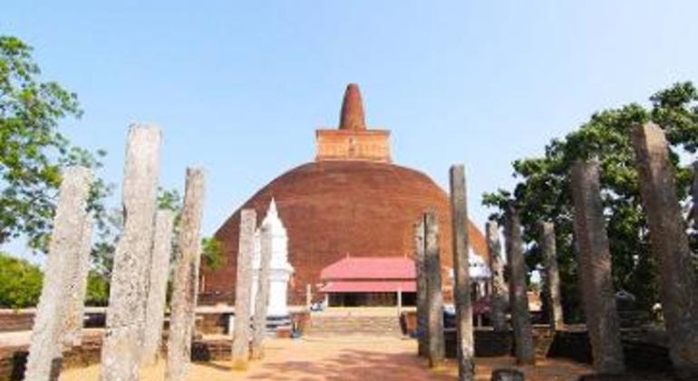 Der älteste von Menschen gepflanzte Baum der Welt und die antike Stadt Anuradhapura