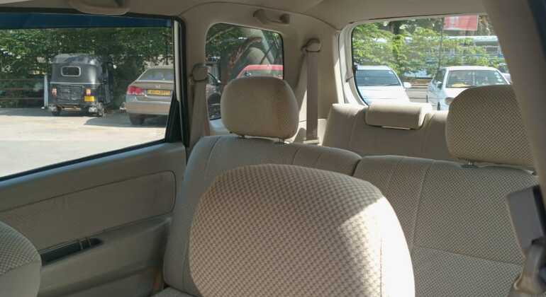 Kandy Stadtrundfahrt & Pinnawala Sri Lanka — #10