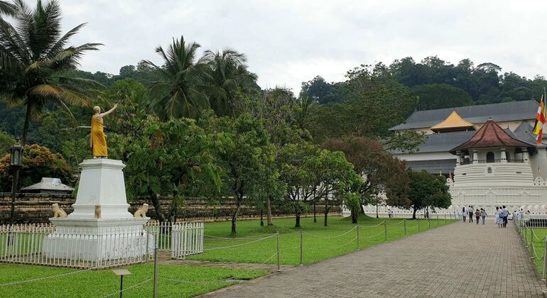 Explorar o Templo da Relíquia do Dente, Pinnawala e Ambuluwawa