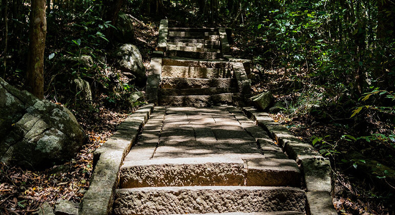 Visite de Kandy à la statue de Bouddha d'Avukana et au monastère de la forêt de Ritigala Sri Lanka &mdash; #4