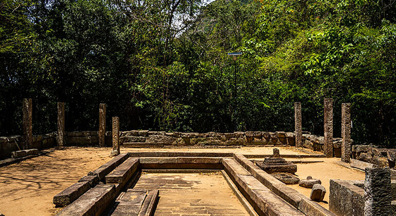 Visite de Kandy à la statue de Bouddha d'Avukana et au monastère de la forêt de Ritigala Sri Lanka &mdash; #5
