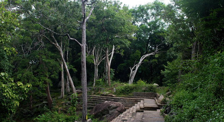 Visite de Kandy à la statue de Bouddha d'Avukana et au monastère de la forêt de Ritigala Sri Lanka &mdash; #6